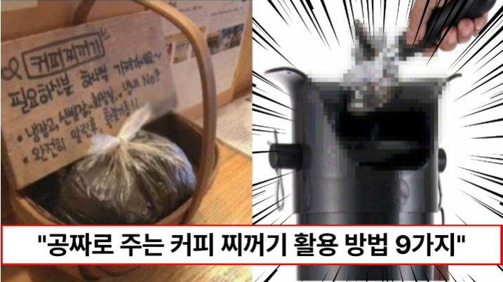 “공짜니까 보이면 무조건 가져오세요” 필요한 사람에게 무료로 주는 카페 원두 찌꺼기 활용 방법 9가지