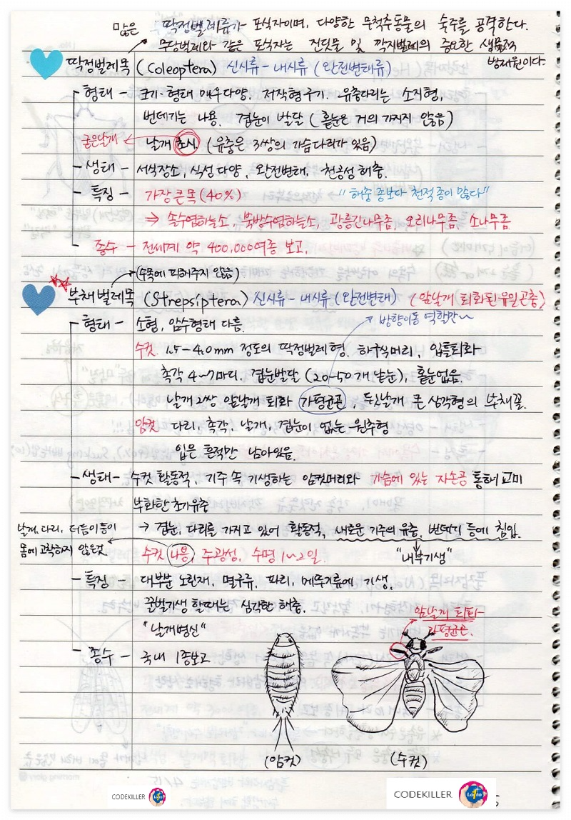 [수목해충학] 2. 곤충의 계통분류 - 딱정벌레목, 부채벌레목