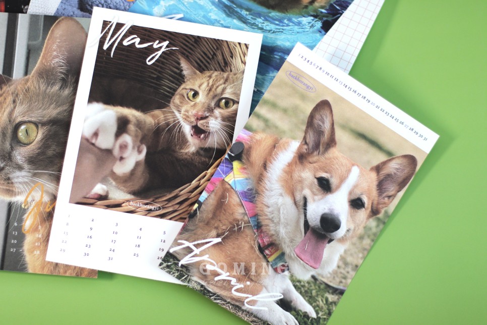 백호랑이 주문, 이웃집의 죽도록 사랑해!!!! 1