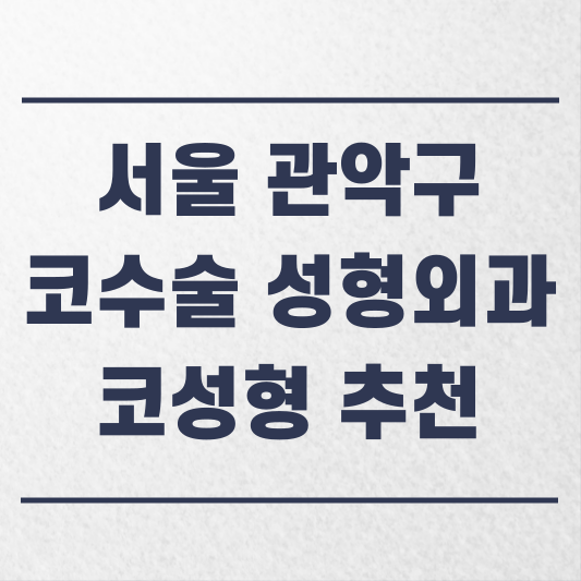 서울 관악구 코수술 성형외과 추천 코성형 잘하는 곳 가격 비용 금액 후기.png