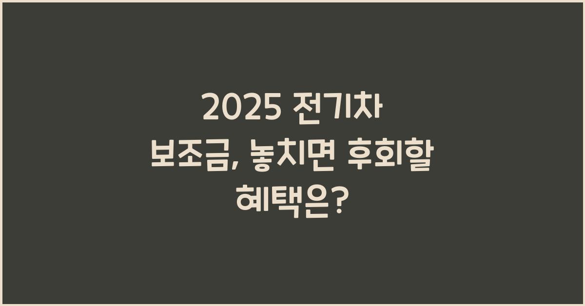 2025 전기차 보조금