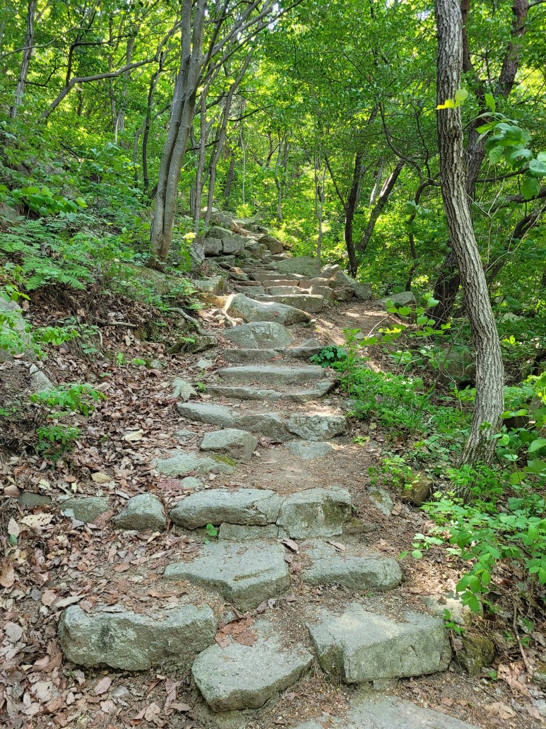 홍성 용봉산 등산코스 홍성 용봉산 8
