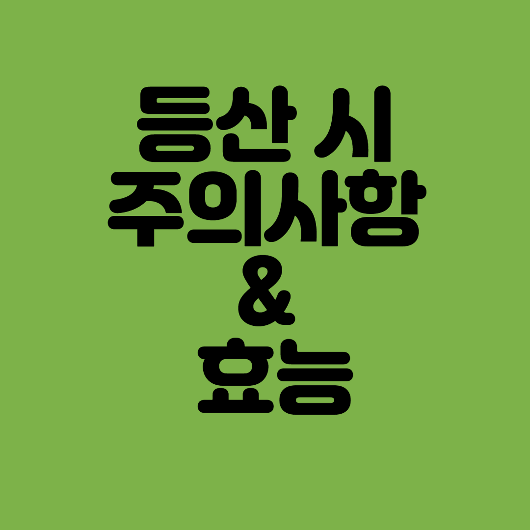  등산 효능