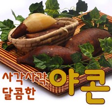  사각사각 달콤한 야콘 / 가격정보 & 후기살펴보기~