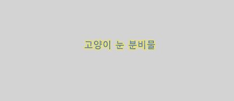  고양이 눈에서 분비물이 생기는 이유