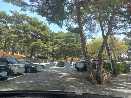 대전 관평동 묵 맛집&#44; 솔밭묵집 주차장