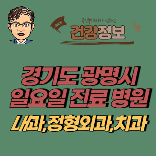 썸네일 경기도 광명시 일요일 진료 병원 찾기