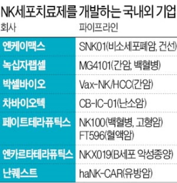 엔케이(NK) 이미지