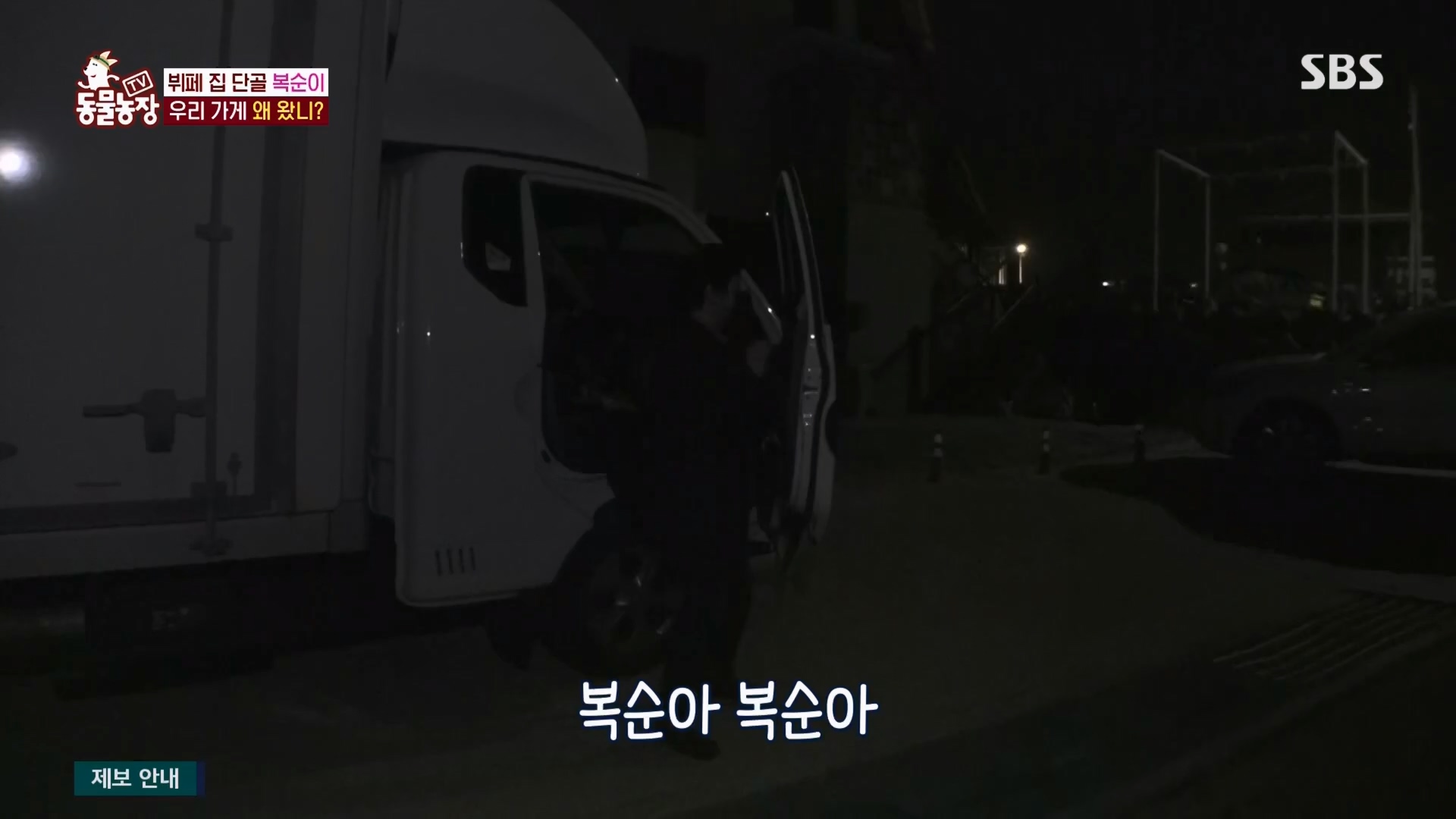 TV 동물농장.E1116.230416p.H264-F1RST.mp4_20230418_194201.302.jpg