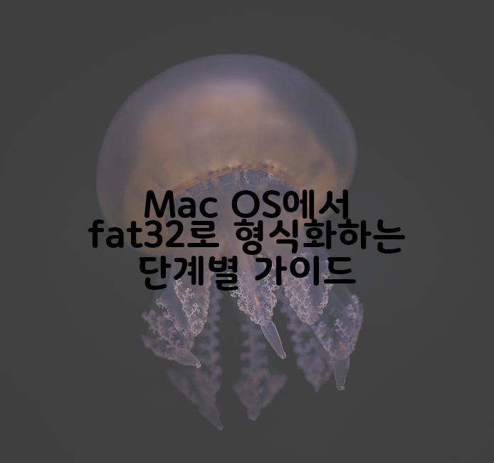 Mac OS์์ fat32๋ก ํ์ํํ๋ ๋จ๊ณ๋ณ ๊ฐ์ด๋