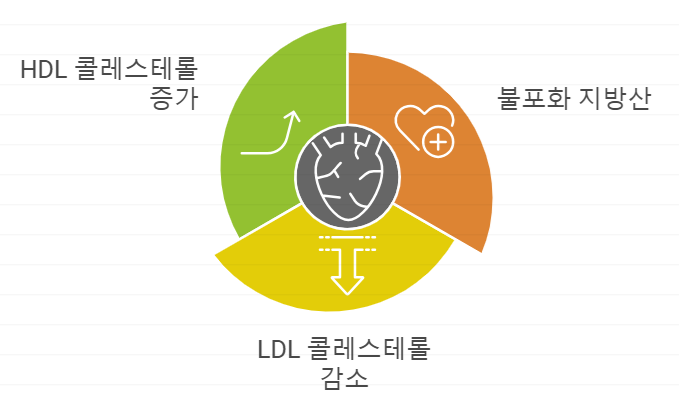 아몬드 버터 효능