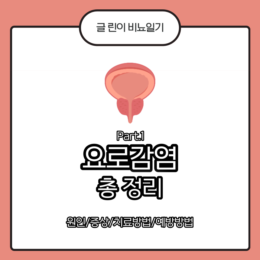  요로감염 총 정리 Part.1 : 원인/증상/치료방법/예방방법