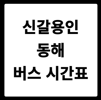 신갈(용인) 동해 버스 시간표