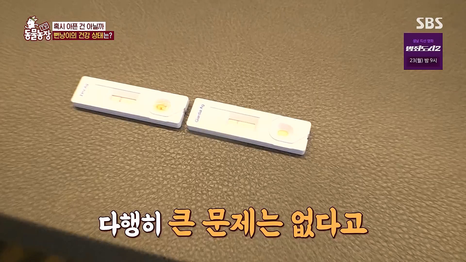 TV 동물농장.E1104.230115p.H264-F1RST.mp4_20230115_173209.961.jpg