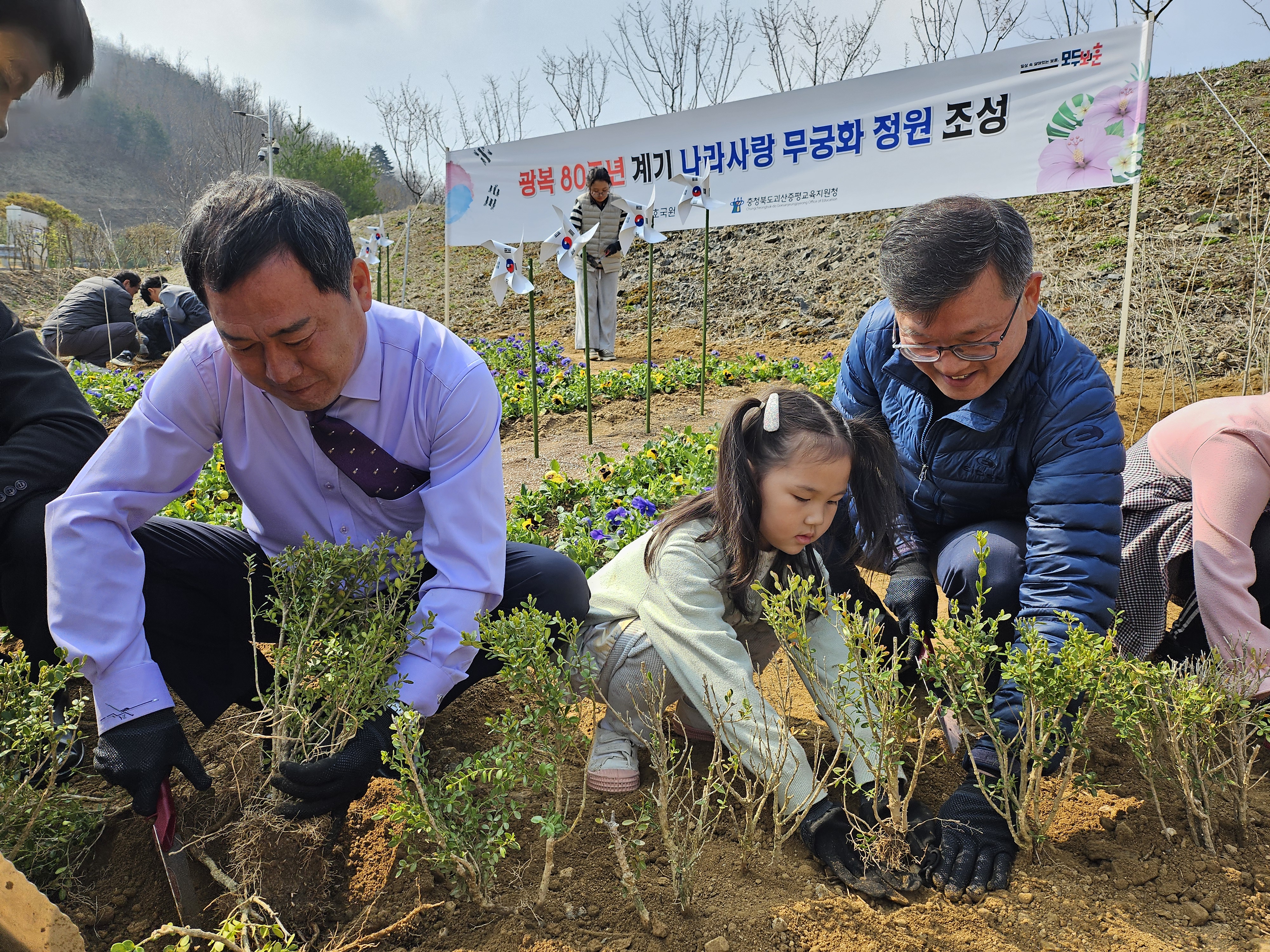 무궁화 정원 이미지