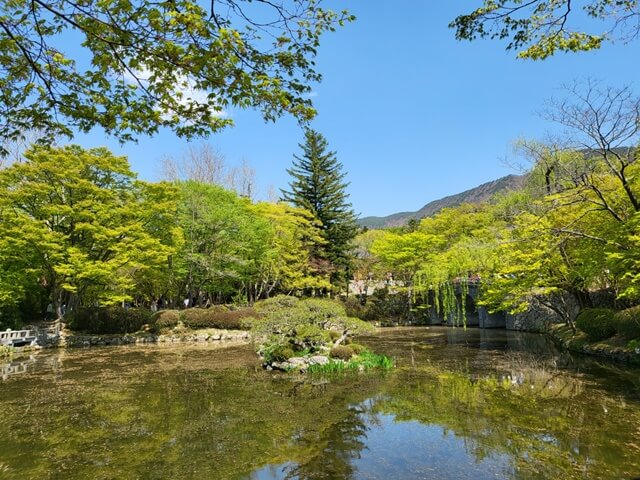 경주 불국사 내 연못