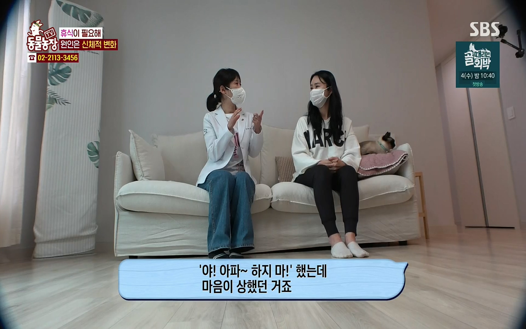 TV 동물농장.E1067.220501p.H264-F1RST.mp4_20220501_183029.394.jpg