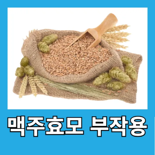 맥주효모 부작용