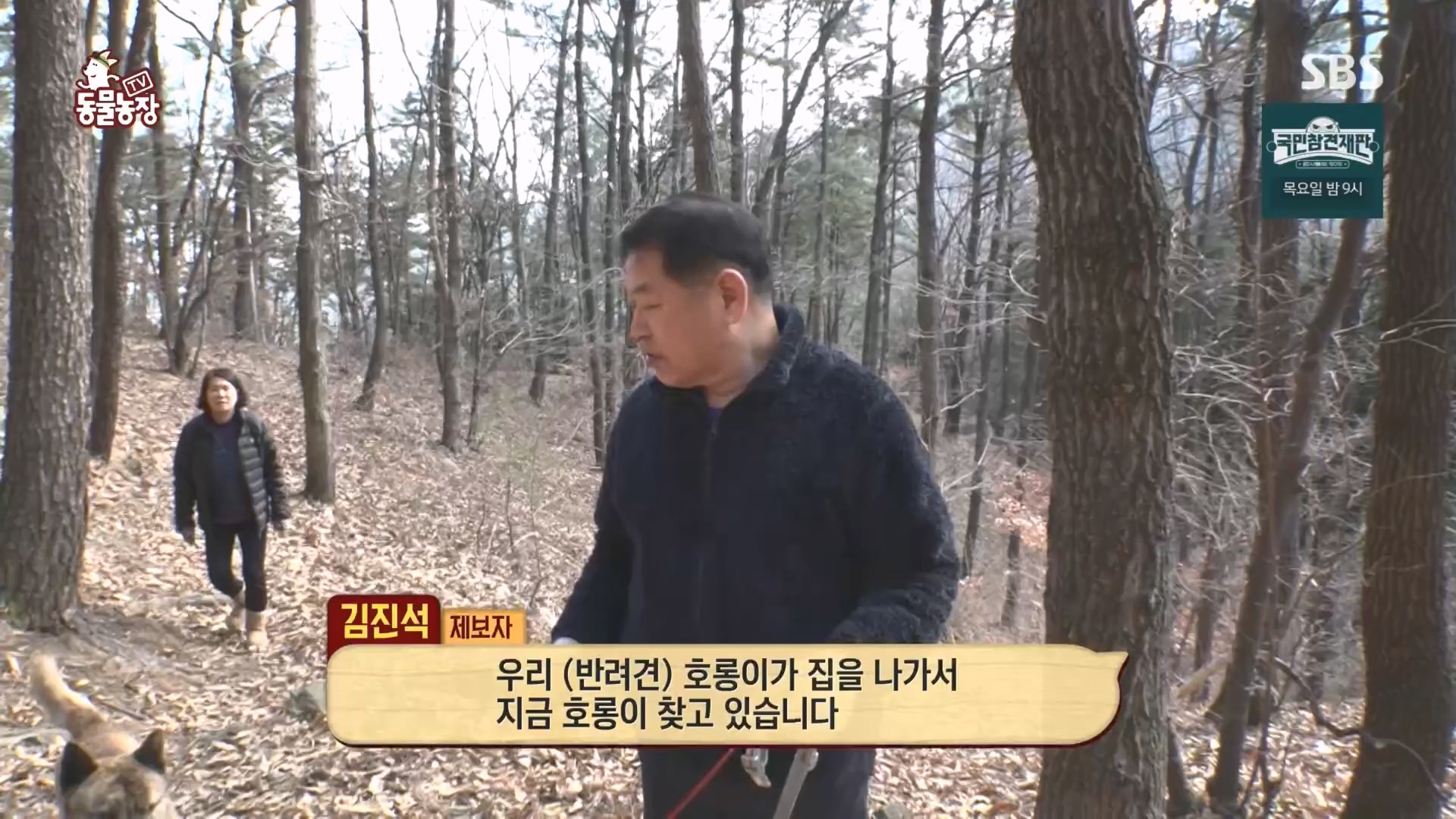 TV 동물농장.E1160.240225p.H264-F1RST.mp4_20240225_165130.772.jpg