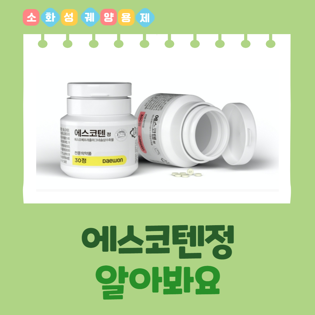  에스코텐정 성분정보 효능효과 용법용량 주의사항 부작용 등 알아봐요