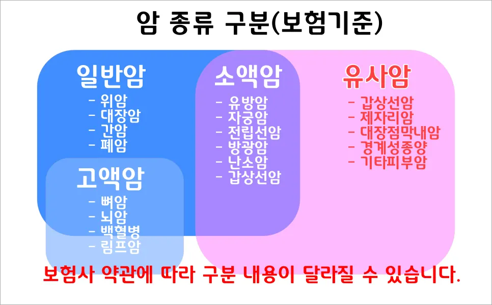 암 종류 구분