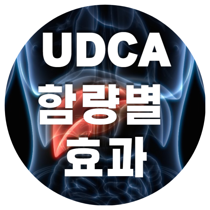 UDCA 간기능 개선