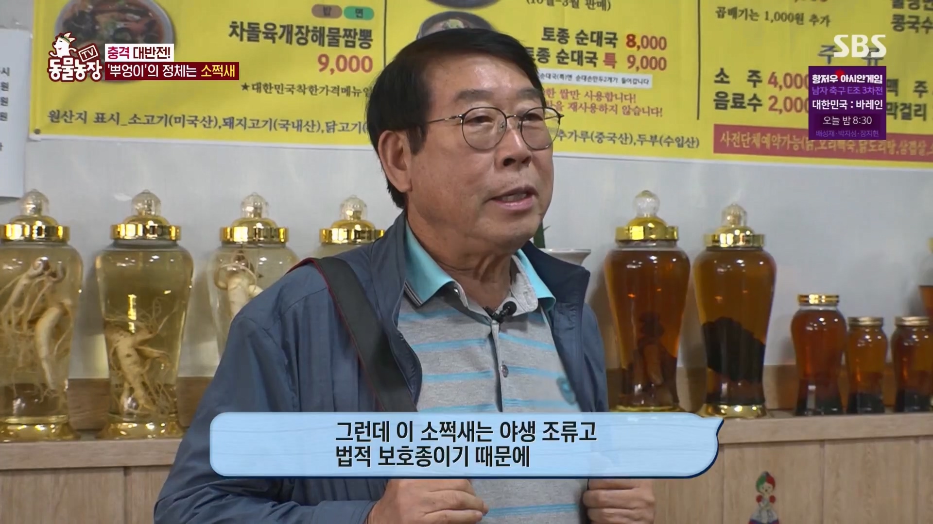 TV 동물농장.E1139.230924p.H264-F1RST.mp4_20230924_170924.980.jpg