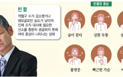 빈혈 이미지