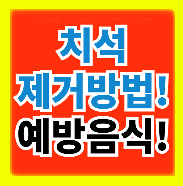  치석 제거방법 및 원인과 예방음식 알아보기