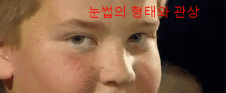  [눈썹 형태 길이] 관상, 심심풀이