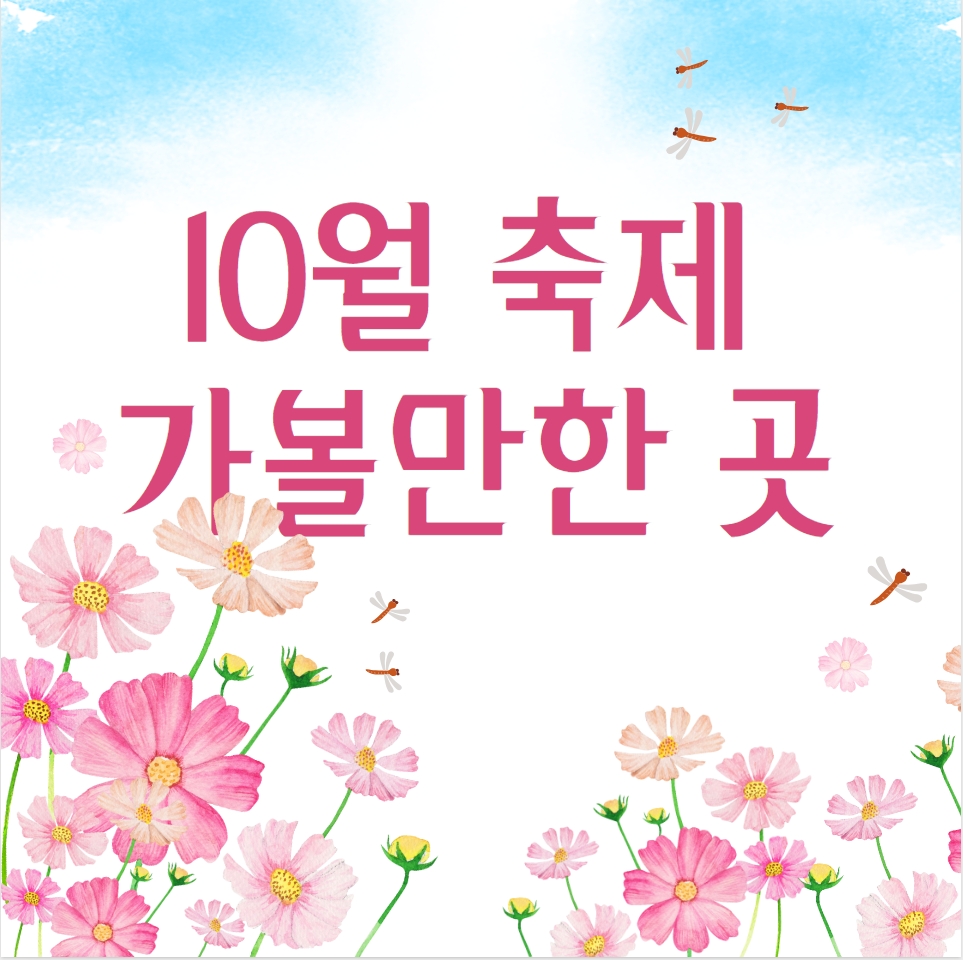  10월 축제 가볼만한 곳 (추천)