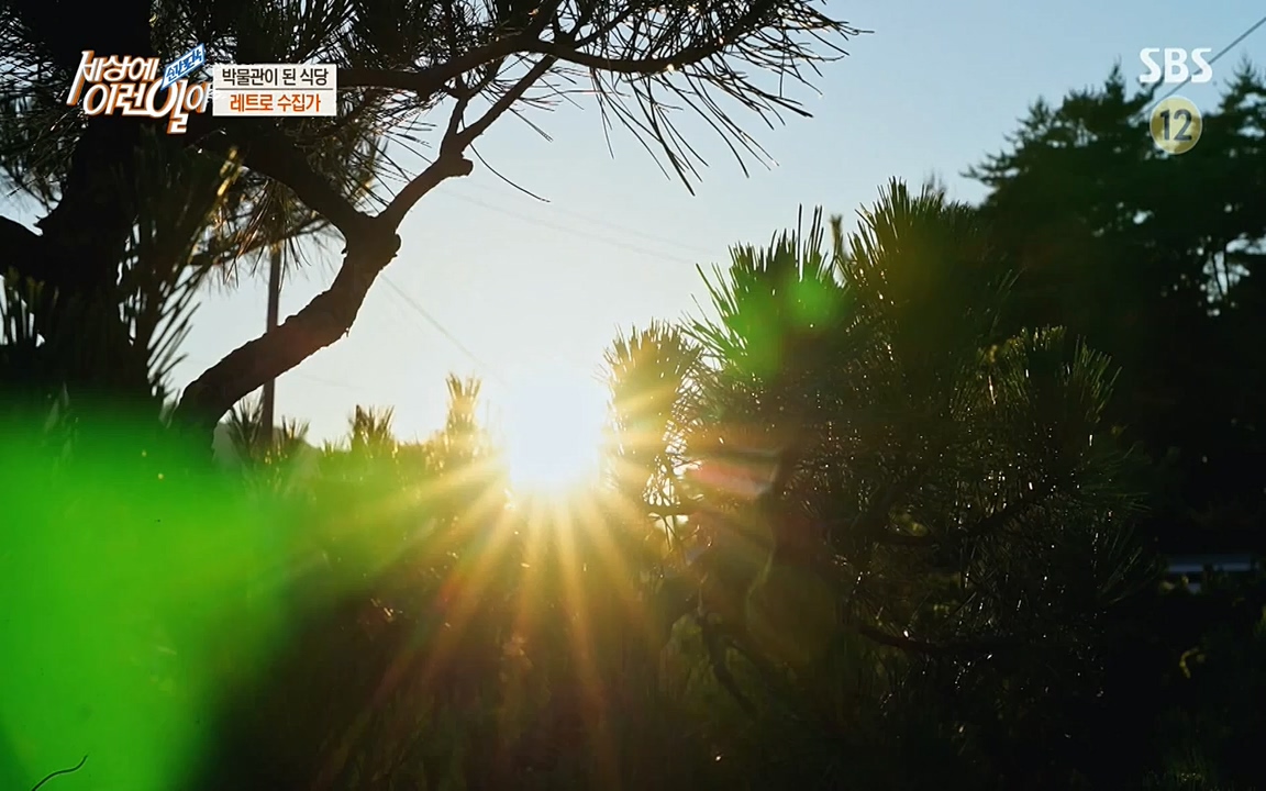 순간포착 세상에 이런일이.E1188.220713p-NEXT.mp4_20220713_175341.603.jpg