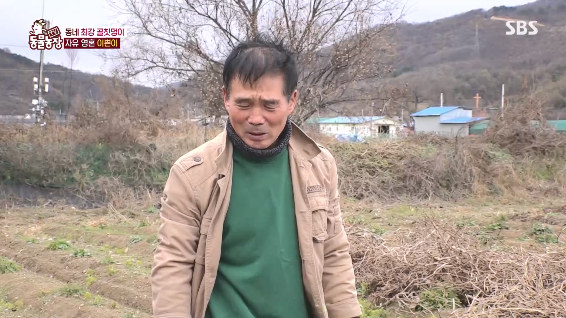 TV 동물농장.E1149.231210p.H264-F1RST.mp4_20231210_171102.158.jpg