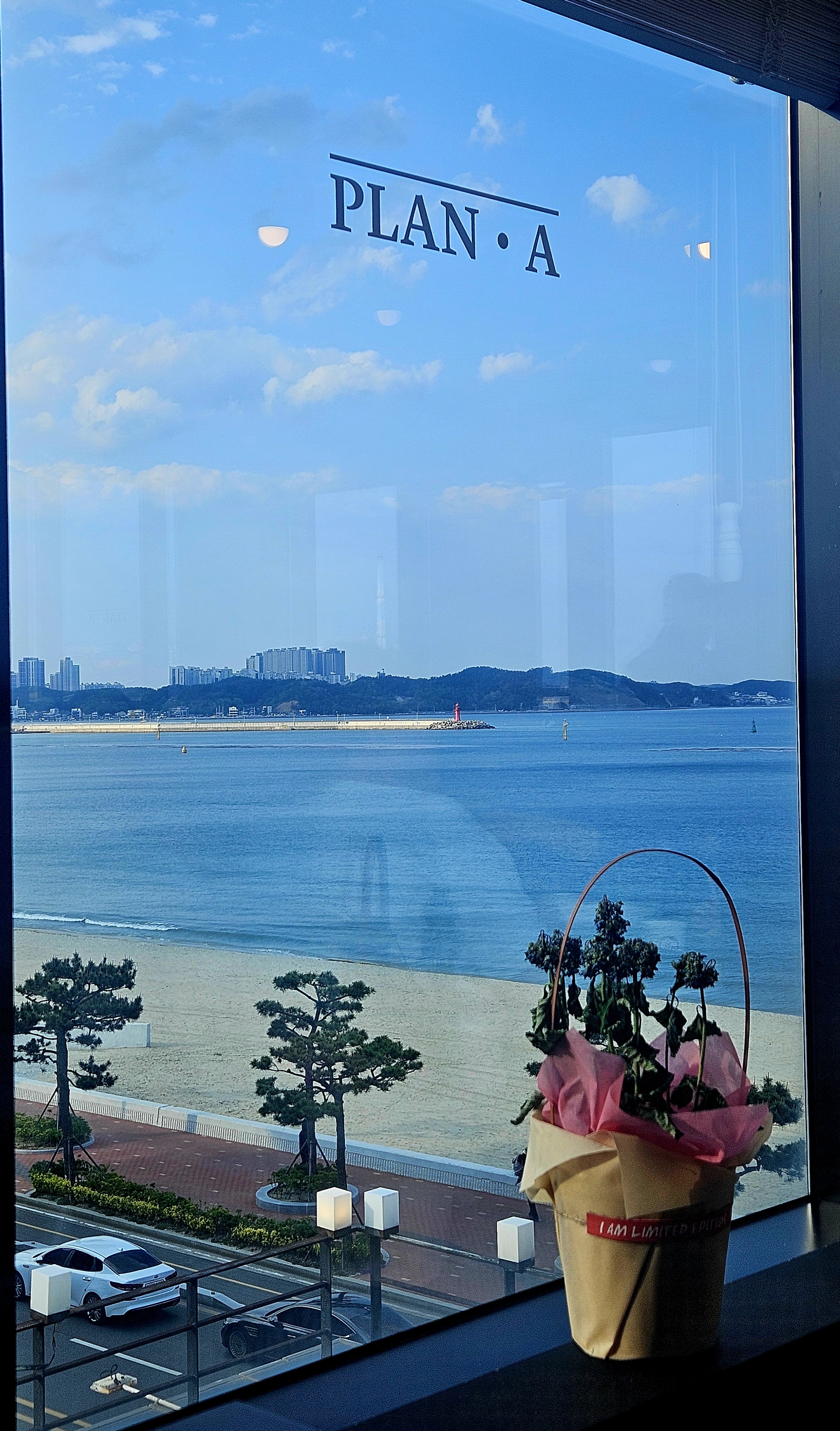 포항 이미지