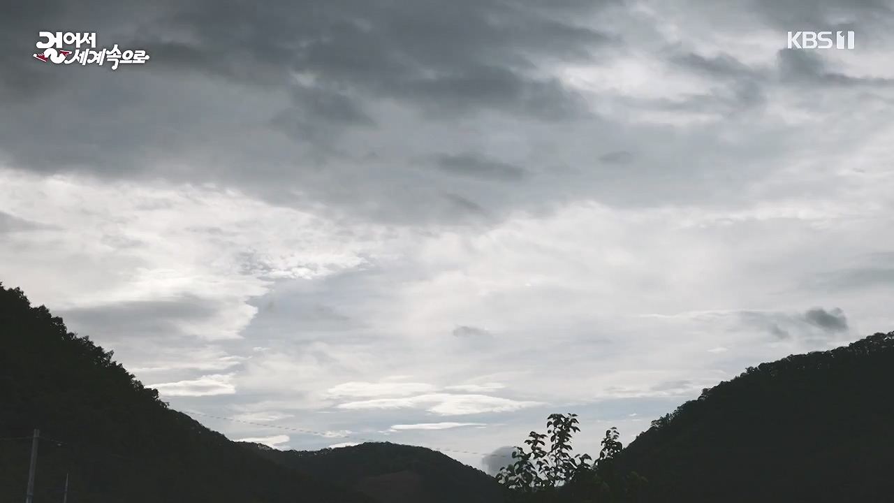 걸어서 세계속으로.E807.230827p-NEXT.mp4_20230902_181123.783.jpg