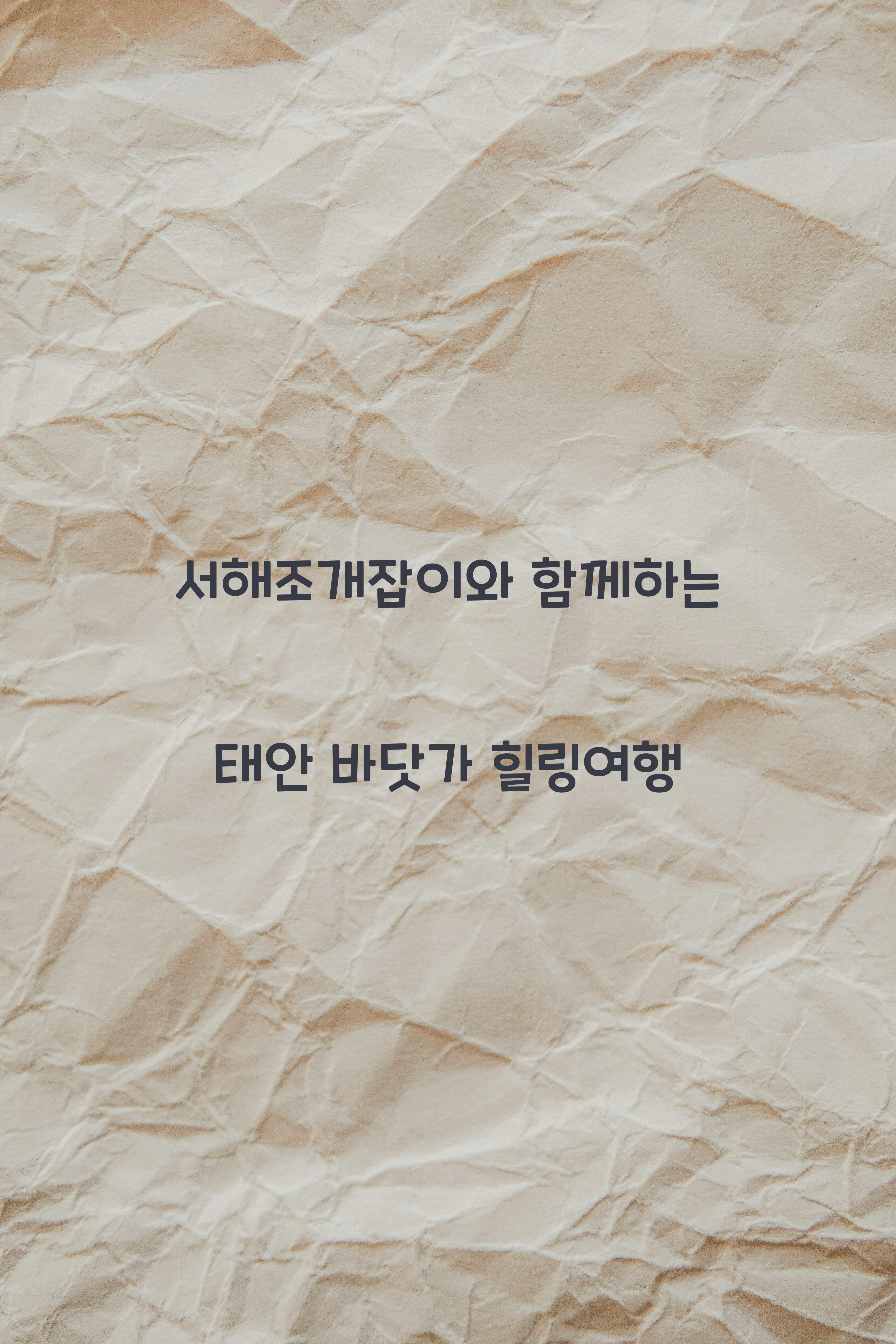 서해조개잡이