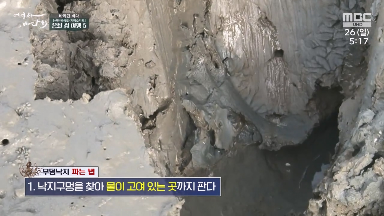 MBC 네트워크 특선 푸른백세 어영차 바다야.E1650.231127p-NEXT.mp4_20231202_165750.239.jpg