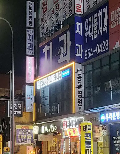 문산동물의료센터