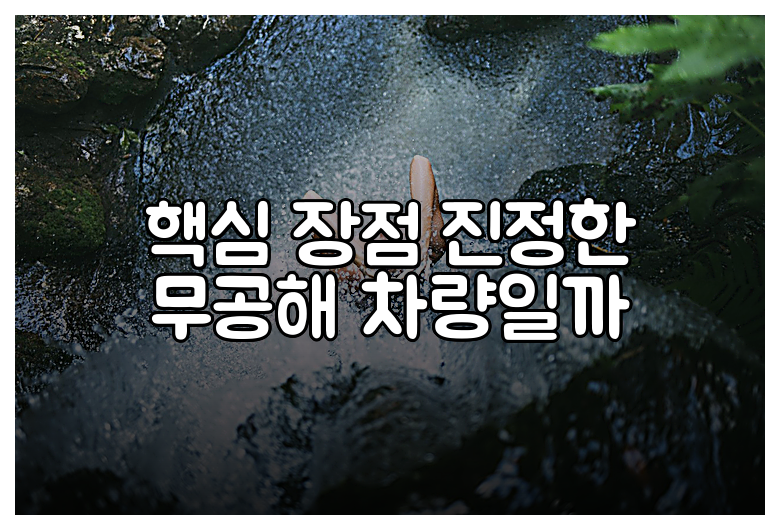 핵심 장점 진정한 무공해 차량일까