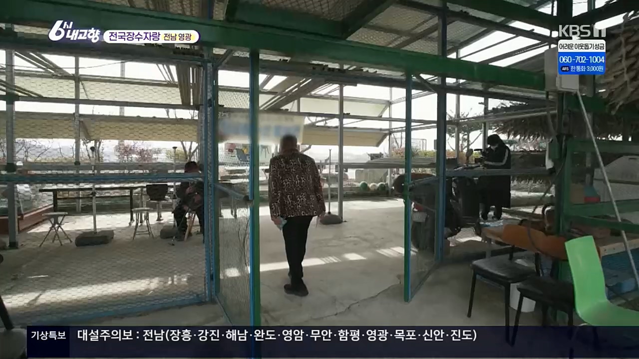 6시 내고향.E7687.221223p.H264-F1RST.mp4_20221229_204153.673.jpg