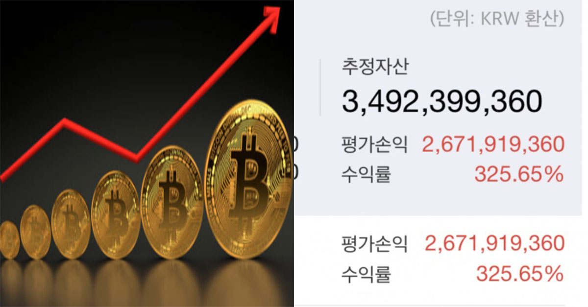  비트코인으로 부자된 디시인이 말하는 코인전망