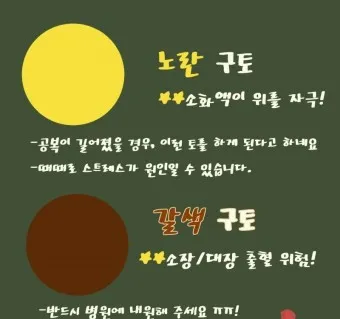 강아지 토 색깔 증상 강아지 토하는 원인과 구토 종류별 건강상태 살펴보기_18
