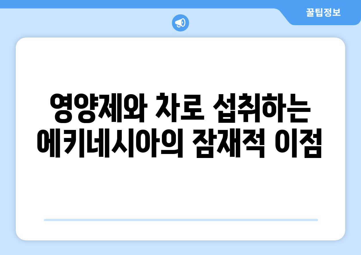 영양제와 차로 섭취하는 에키네시아의 잠재적 이점