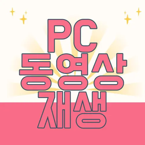 PC 동영상 재생