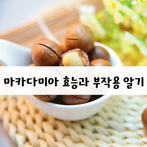 마카다미아 효능 부작용은?