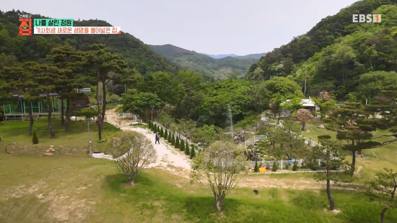 TV - 전 국민의 평생학교 EBS나를 살린 정원.mp4_20230814_211340.245.jpg