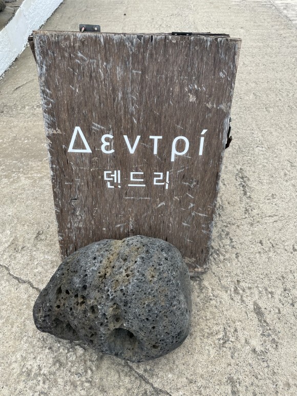 덴드리 이미지