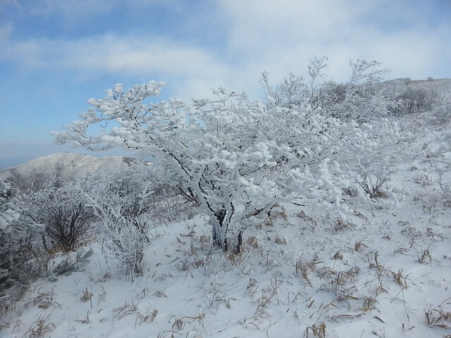 소백산 풍경