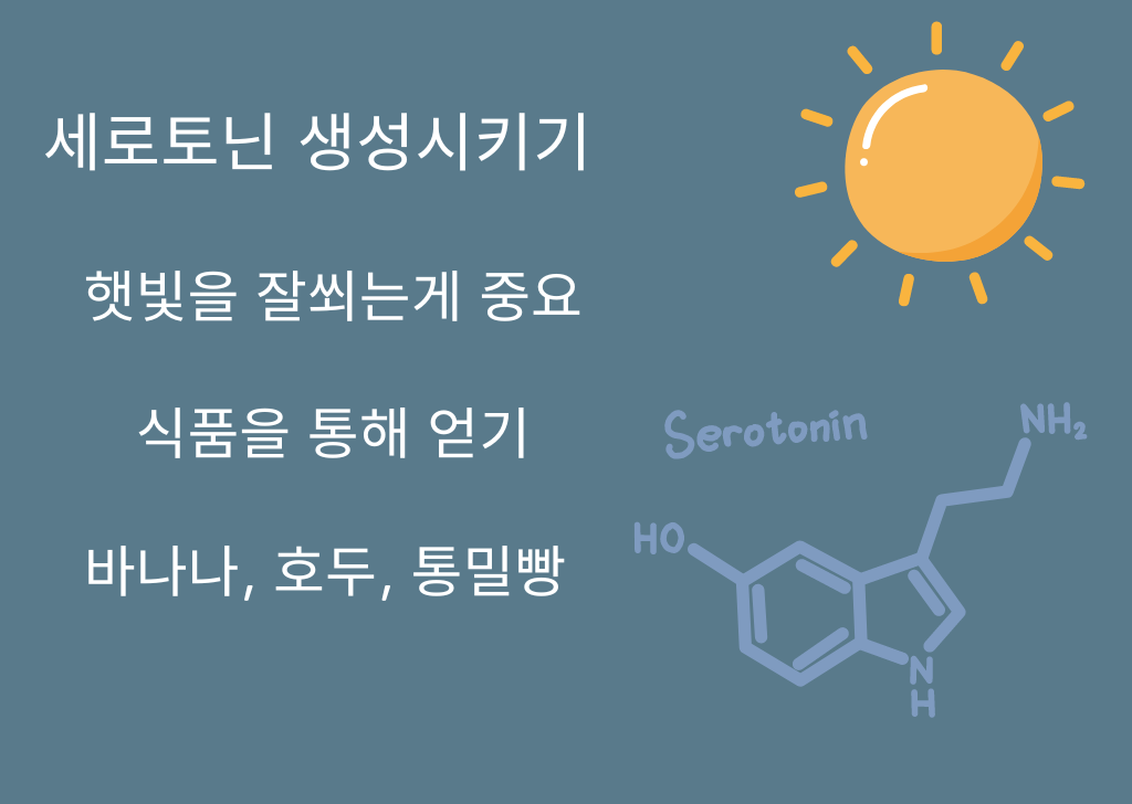 세로토닌 생성시키기