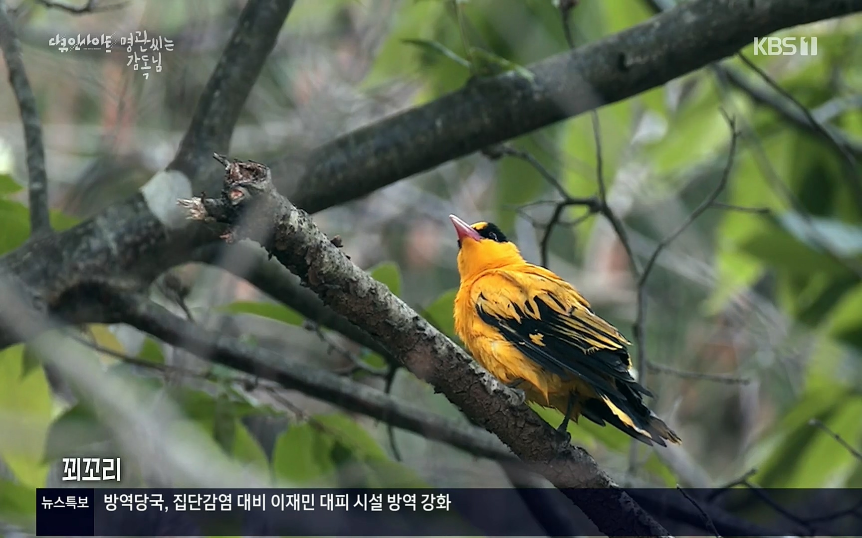다큐 인사이트.E122.220825p.H264-F1RST.mp4_20220826_150531.446.jpg